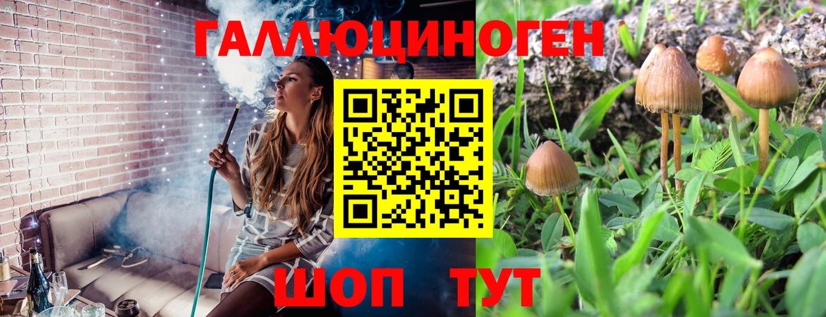 Чебаркуль  Псилоцибиновые грибы Psilocybine cubensis  Галлюциногенные грибы ЛСД  Вход с VPN 