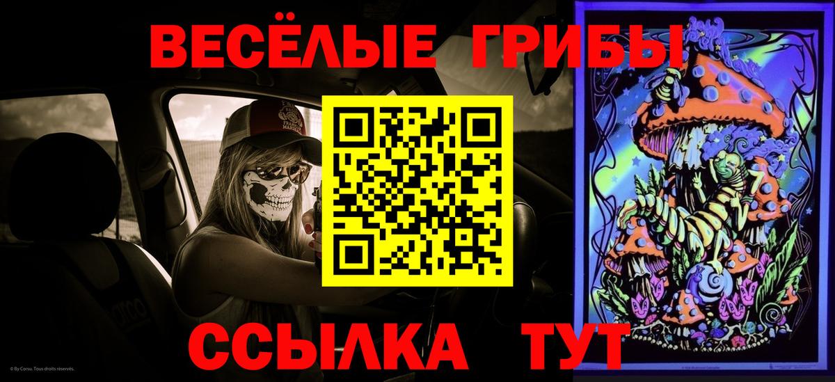 Псилоцибиновые грибы Psilocybe Чебаркуль